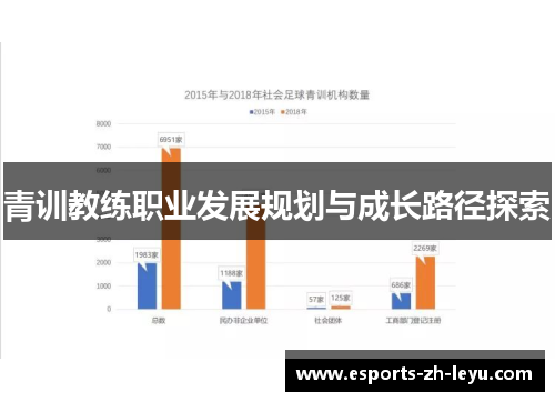 青训教练职业发展规划与成长路径探索