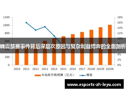 魏震禁赛事件背后深层次原因与复杂利益博弈的全面剖析