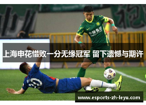 上海申花惜败一分无缘冠军 留下遗憾与期许